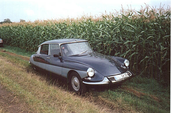 Meine ID vor einem Feld, Sommer 1998